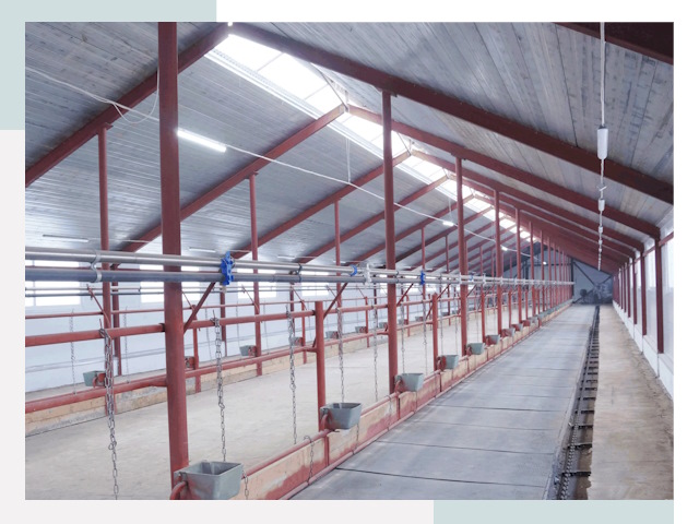 Строительство коровников в Кольчугине от 610 руб.