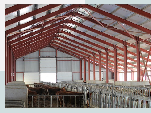 Строительство коровников в Кольчугине