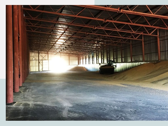 Строительство зернохранилищ в Кольчугине